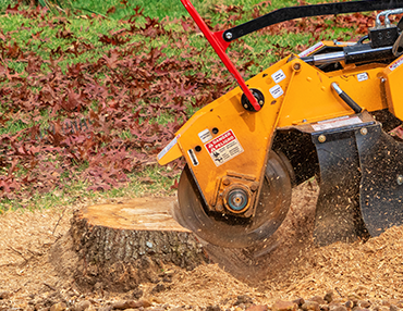 Stem and Leaves offers Stump Grinding