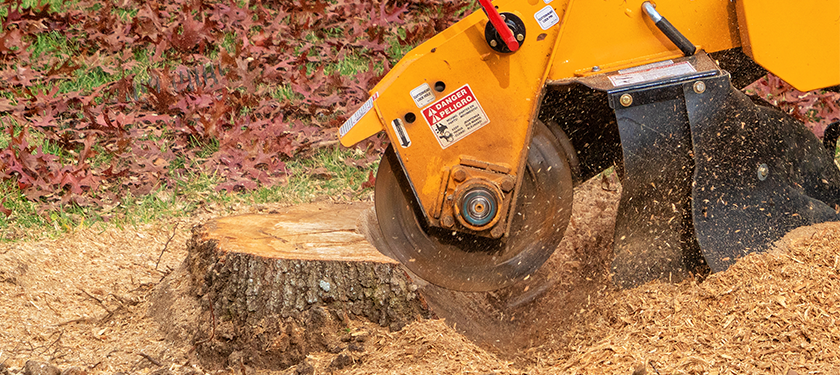 Stump Grinding offered by Stem and Leaves Tree Service